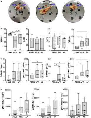 Altered Tregs Differentiation and Impaired Autophagy Correlate to Atherosclerotic Disease